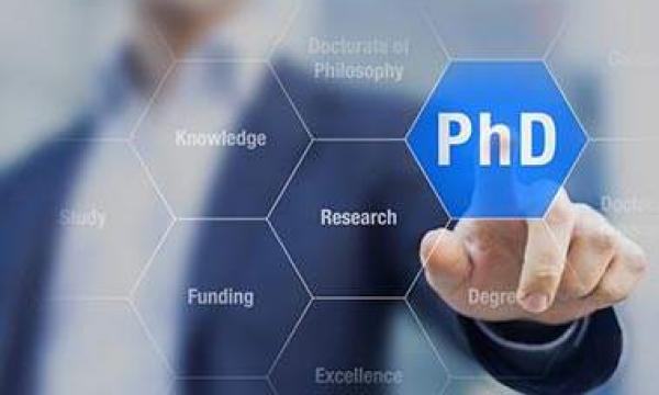 DELoS PhD Program 41st cycle - Call for Applications - Standard Scholarships